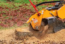 Best Seasonal Cleanup (Spring/Fall)  in Wabasha, MN